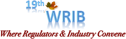 19th WRIB Logo
