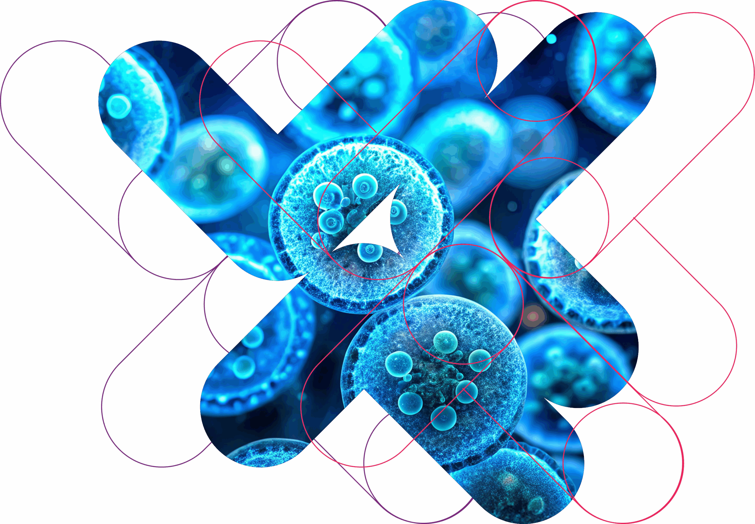Off the Shelf Assays